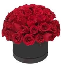 Foto de Cajas con 50 rosas importadas